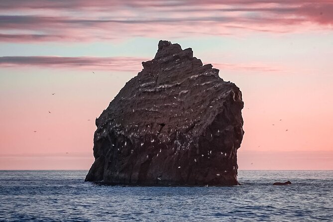 Reykjanes Peninsula Private tour Iceland - Pickup from Reykjavik, timing, and what $600 buys you