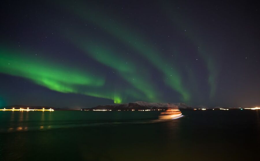Reykjavik: 2-Hour Northern Lights by Boat with Backup Plan - When the clouds win: Whales of Iceland Exhibition as a real Plan B