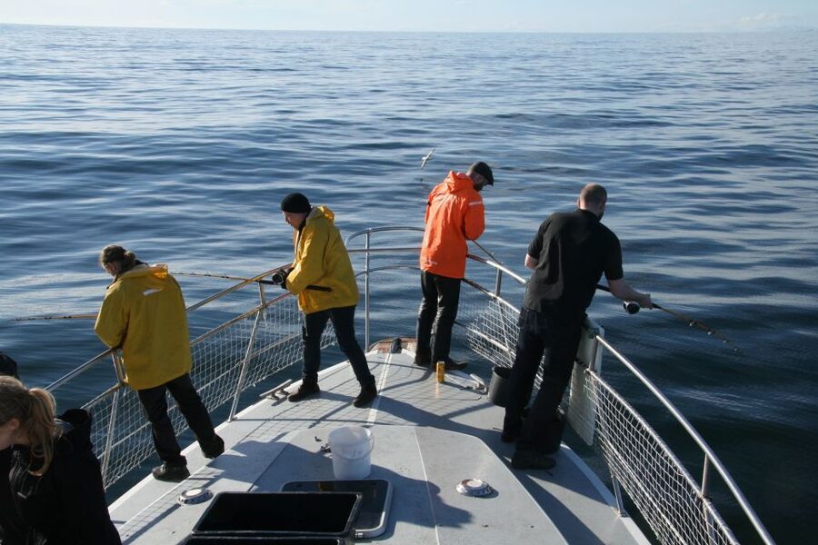 Reykjavik: 3-Hour Sea Angling Gourmet Experience Tour - Key points before you go