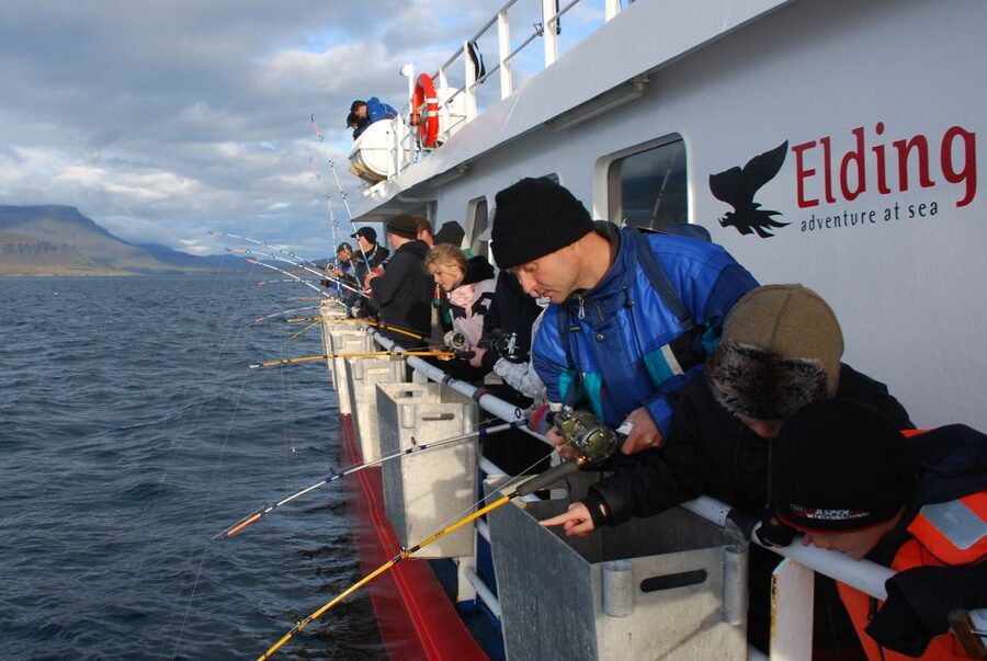 Reykjavik: 3-Hour Sea Angling Gourmet Experience Tour - Weather, wildlife, and the seasickness reality check