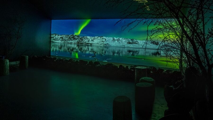 Reykjavik: Aurora Reykjavik The Northern Lights Center Entry - Aurora Reykjavík in Grandi Harbour, the best kind of plan B