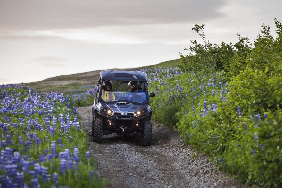 Reykjavik: Buggy Safari Tour with Hotel Transfers - Who should book (and who might want a different plan)