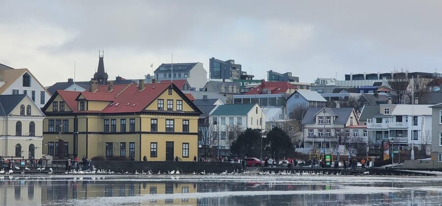 Reykjavik City Private Tour: Perlan, Arbaer & City Landmarks - Key things I’d plan for in this Reykjavik private tour