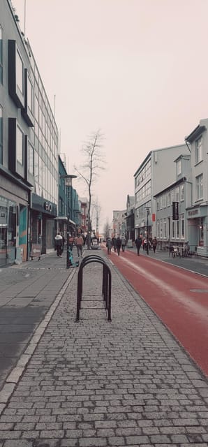 Reykjavik City Private Tour: Perlan, Arbaer & City Landmarks - Hallgrímkirkja: more than a photo, it is a guided entry visit