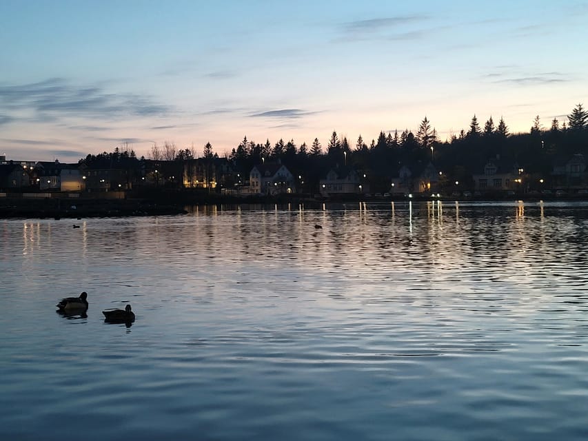 Reykjavik City Private Tour: Perlan, Arbaer & City Landmarks - Adam’s guided touches that make the day feel personal