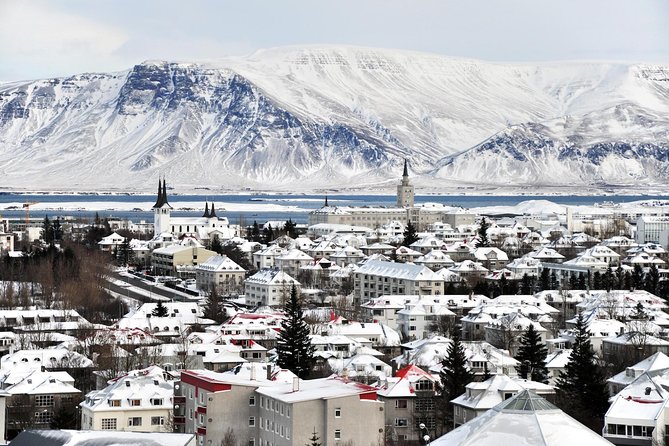 Reykjavik City Walking Tour - Alþingishúsið, Parliament, and the First Viking Homesteads Connection