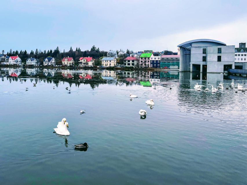 Reykjavik: City Walking tour in Small Group with Local Guide - Alþingi and Austurvöllur: Iceland’s political heart in walking distance