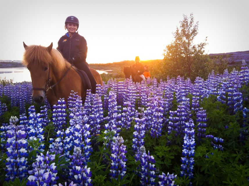 Reykjavik: Evening Sleipnir Horse Riding Tour with Pickup - Key Highlights You’ll Actually Care About