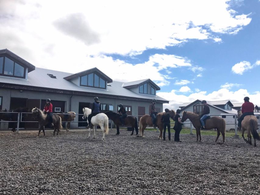 Reykjavik: Evening Sleipnir Horse Riding Tour with Pickup - Viking Horses Stables: Kleina and Hot Drinks to Finish Warm
