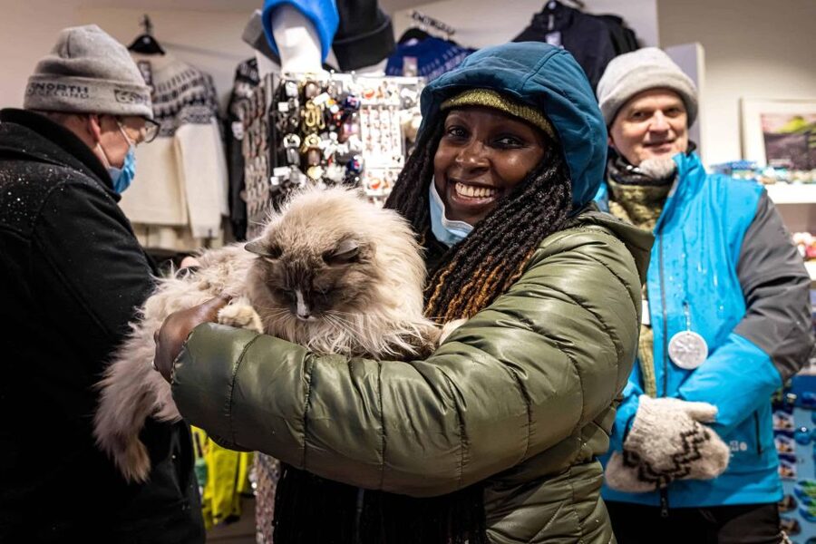 Reykjavik: Feline-Focused City Walking Tour - Key things that make this CatWalk different