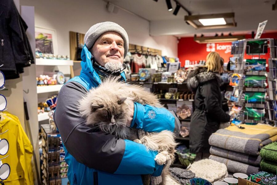 Reykjavik: Feline-Focused City Walking Tour - The big payoff, Kattakaffihúsið cat café and Icelandic comfort breaks