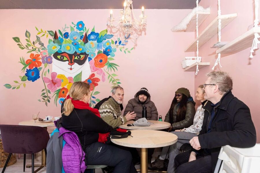 Reykjavik: Feline-Focused City Walking Tour - What to bring, what the route actually feels like, and how to dress for cat-weather