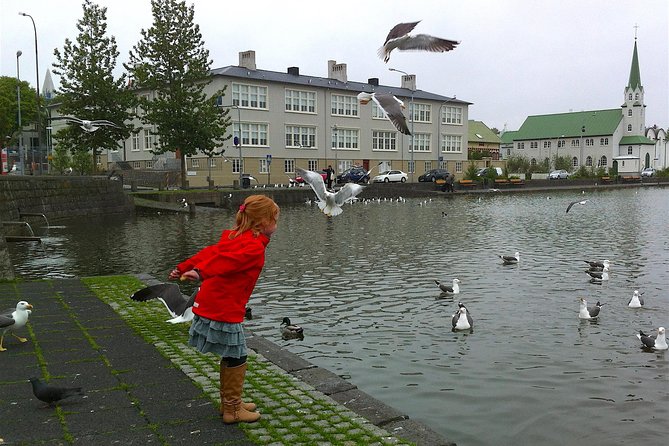Reykjavik Food Tour and City Walk - PRIVATE TOUR - Ice cream, plus a pass-by of Bæjarins Bestu hot dogs
