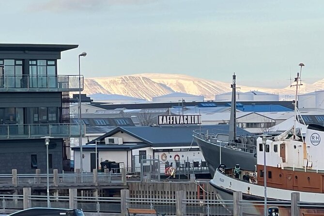 Reykjavik Food Tour - Old Harbor Walking Tour - Old Harbor in 3 hours, with food as the guide