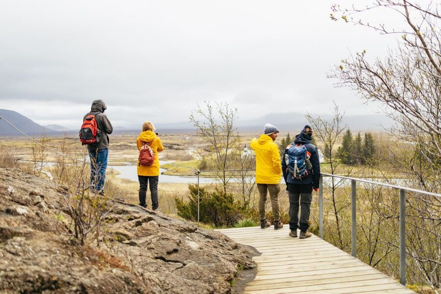 Reykjavik: Golden Circle, Crater & Blue Lagoon Minibus Tour - Price and value: where the $252 really goes
