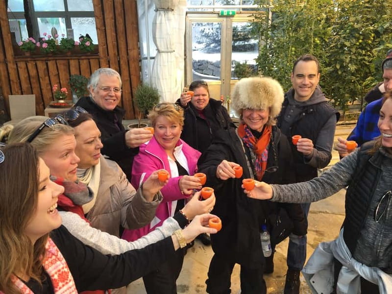 Reykjavik: Golden Circle, Fridheimar, & Sky Lagoon Day Trip - Key Things I’d Watch For