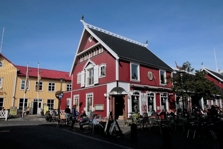 Reykjavik: Guided City Walking Tour - Photo Stops on Laugavegur and Austurvöllur Square