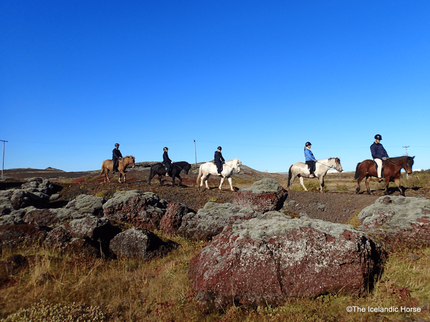 Reykjavík: Horse Riding Tours - Why Reykjavík Tölt Tours Feel More Personal Than Most Short Rides