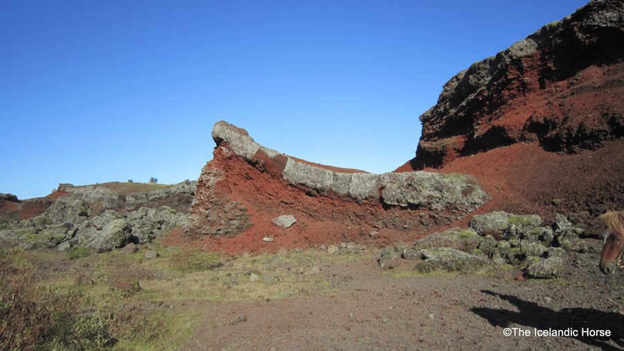 Reykjavík: Horse Riding Tours - Quick Key Points Before You Go