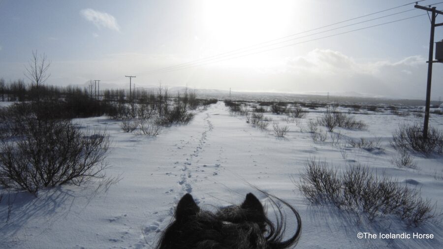 Reykjavík: Horse Riding Tours - Gear and Iceland Weather: Rain Clothes, Overalls, Gloves, and Real Footing