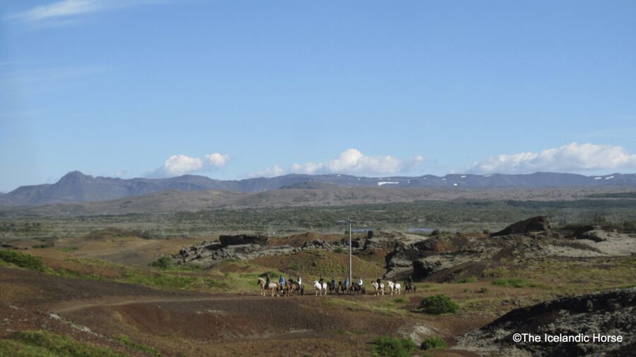 Reykjavík: Horse Riding Tours - Price and Value: Does $200 Make Sense for a 2-Hour Horse Tour?