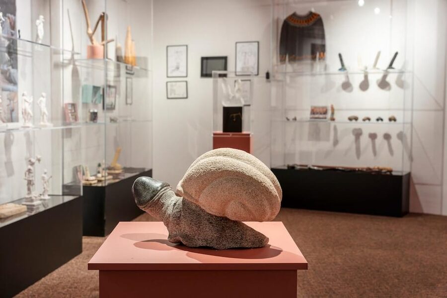 Reykjavik: Icelandic Phallological Museum Entry Ticket - The Worlds Largest Phallus Collection, Explained