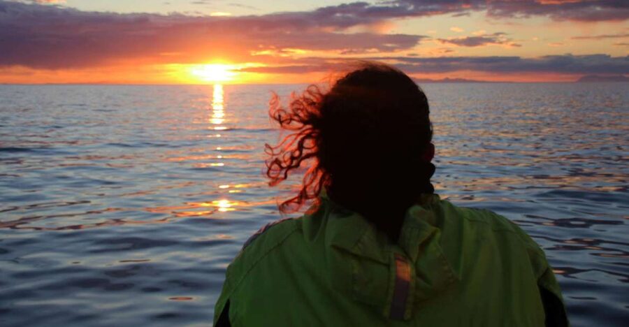 Reykjavík: Midnight Sun Whale Watching Cruise - What You’ll Look For in Faxaflói Bay