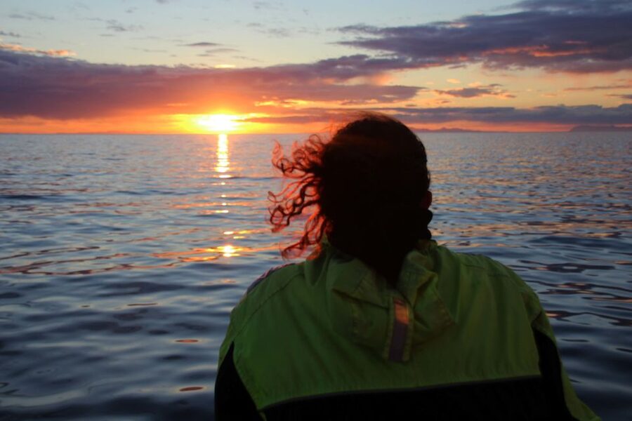 Reykjavík: Midnight Sun Whale Watching Cruise - Timing on the Water, From Boarding to Midnight