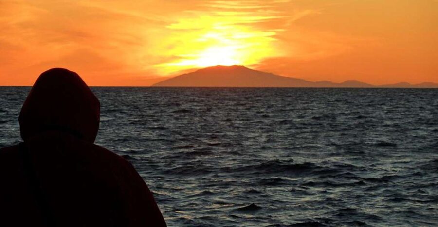 Reykjavik: Midnight Sun Whale Watching Tour - Key Highlights Worth Your Time