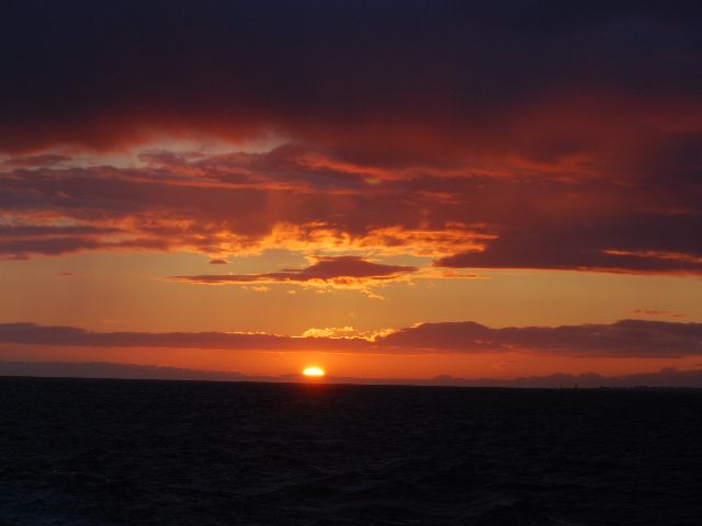 Reykjavik: Midnight Sun Whale Watching Tour - When This Tour Is a Perfect Fit, and When to Rethink It