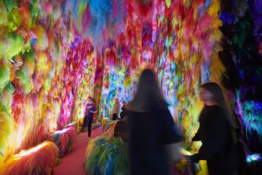 Reykjavík: Multi-Sensory Art Installation Chromo Sapiens - Should you book Chromo Sapiens?