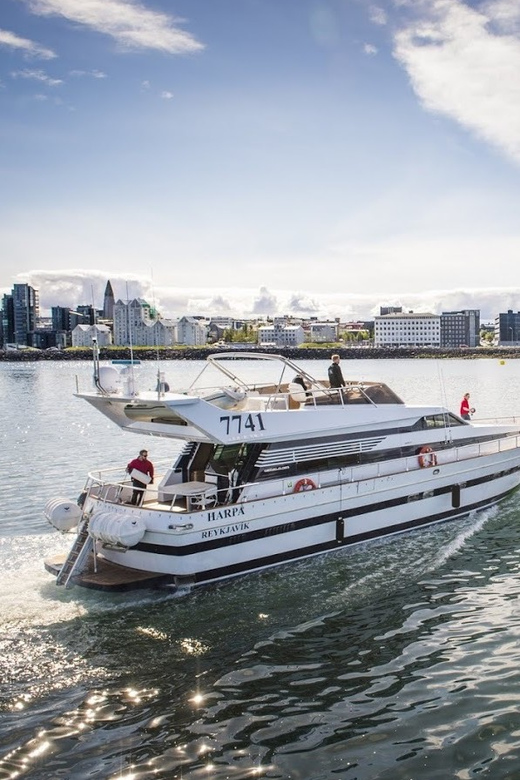 Reykjavík: New Year's Eve Northern Lights Yacht Cruise - Comfort and movement: what to know about sea conditions