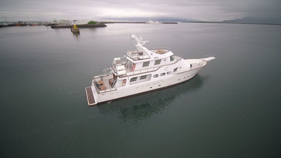 Reykjavik: New Years Fireworks Midnight Cruise - On-board comfort: warm clothing, camera-ready moments, and Wi-Fi reality
