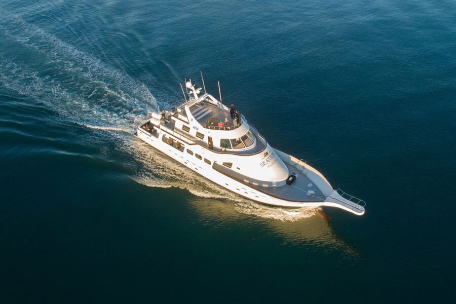 Reykjavik: New Years Fireworks Midnight Cruise - Boarding the Amelia Rose at 10:30 PM, then waiting like it matters