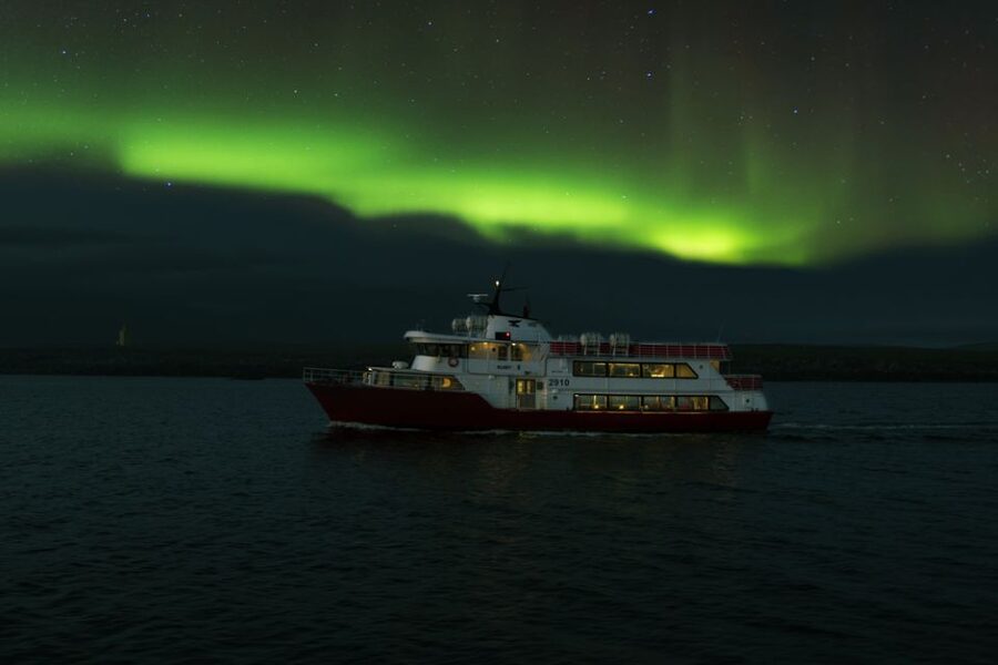 Reykjavík: Northern Lights Cruise - Dress smart: overalls help, but your body still matters