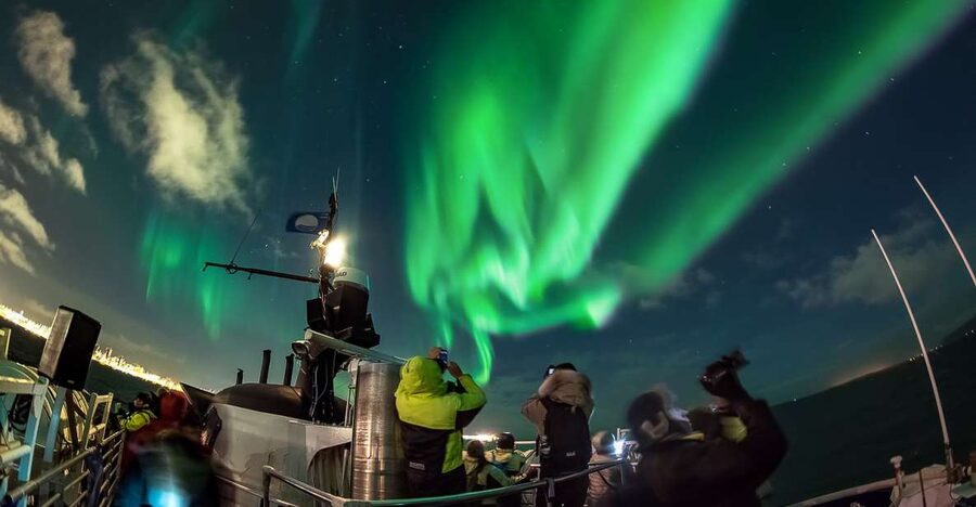 Reykjavik: Northern Lights Guided Boat Tour - Key points before you go