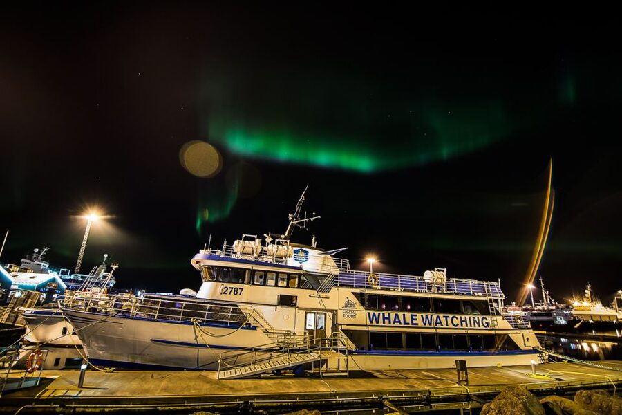 Reykjavik: Northern Lights Guided Boat Tour - The aurora hunt: leaving city lights, then finding the best darkness