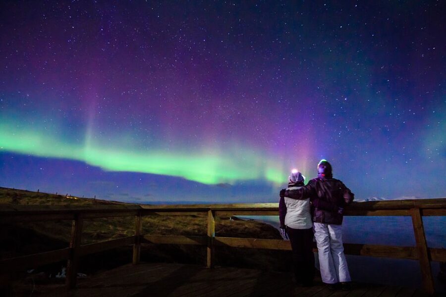 Reykjavík: Northern Lights Minibus Tour with Photos - Driving and Sky Checking: The Tradeoff for a Better Chance