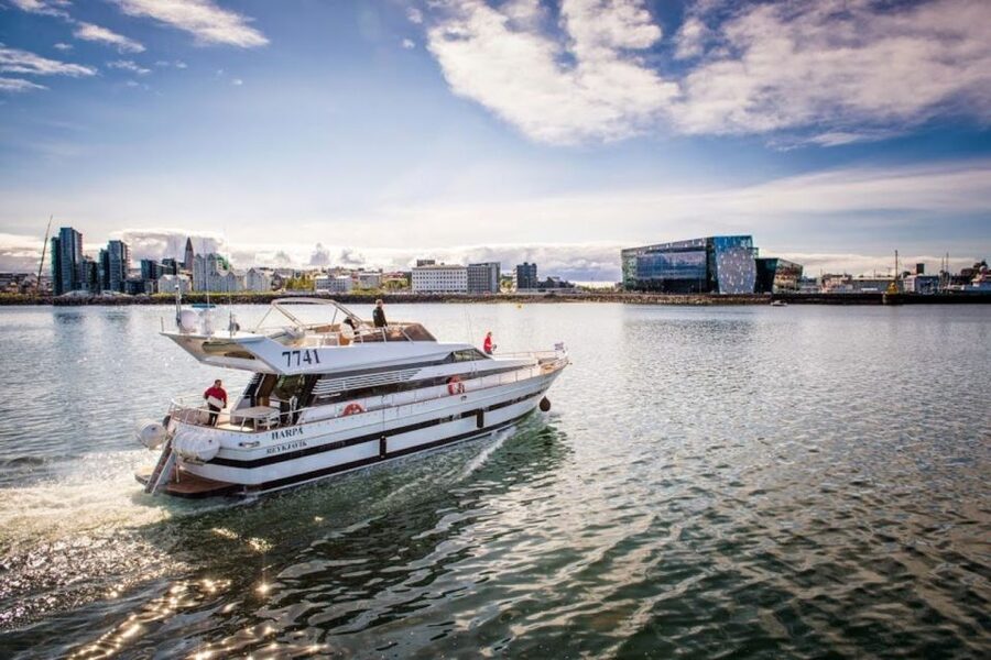 Reykjavik: Northern Lights Motor Yacht Cruise - Who this cruise fits best, and who might want another option