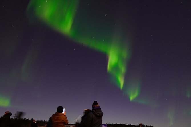 Reykjavik Northern Lights Tour with Pro Aurora Photos Small Group - Cold, Wind, and Patience: The Stuff That Can Make or Break It