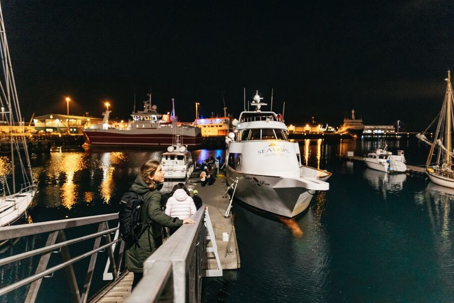 Reykjavik: Northern Lights Yacht Tour - Timing, Comfort, and What to Bring (So You Actually Enjoy It)