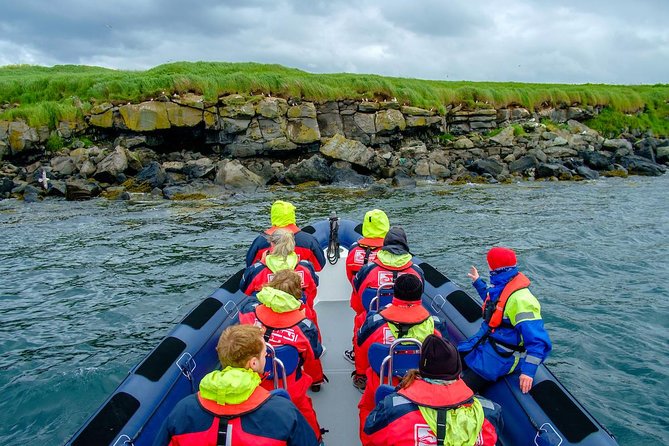 Reykjavik Premium Puffin tour | Close Up and Personal - What the guide does with your attention