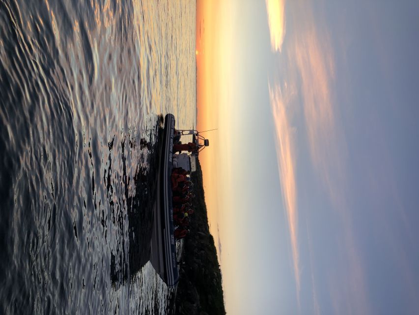 Reykjavik: Premium Whale and Puffin Watching Evening Tour - Who should book this RIB whale and puffin tour