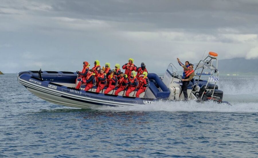 Reykjavik: Premium Whale Watching with Flexible Ticket - Key highlights to know before you go