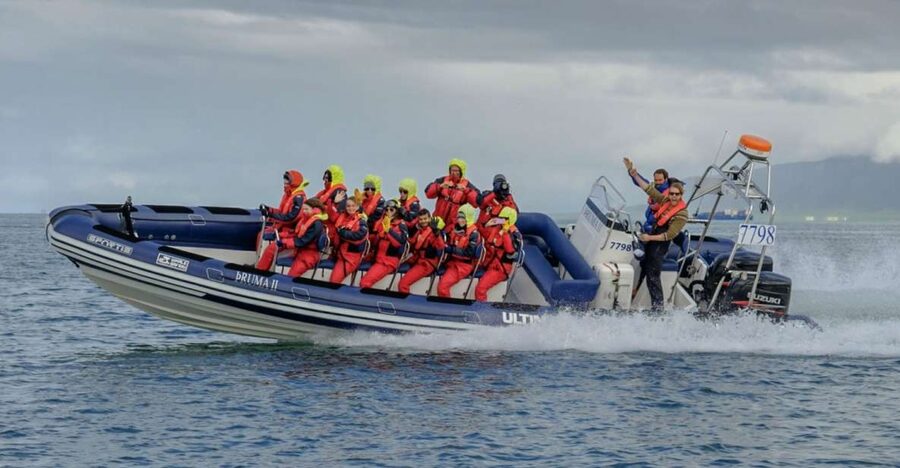 Reykjavik: Premium Whale Watching with Flexible Ticket - From Reykjavík Old Harbour to Faxaflói Bay in a RIB