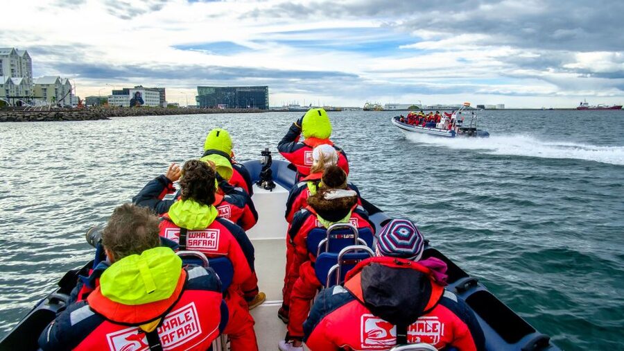 Reykjavik: Premium Whale Watching with Flexible Ticket - Practical tips to make the most of your RIB whale watch