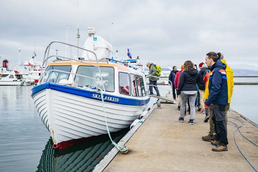 Reykjavik: Puffin Watching Boat Tour - Who should book this puffin watching boat tour