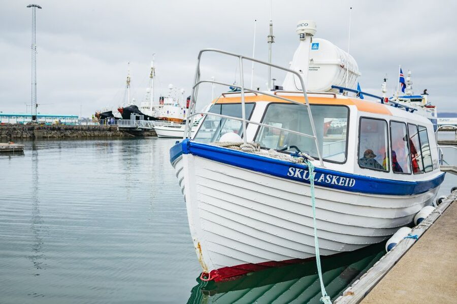 Reykjavik: Puffin Watching Boat Tour - Your guides and how they shape the experience (Patrick, Joe, Vera, and more)