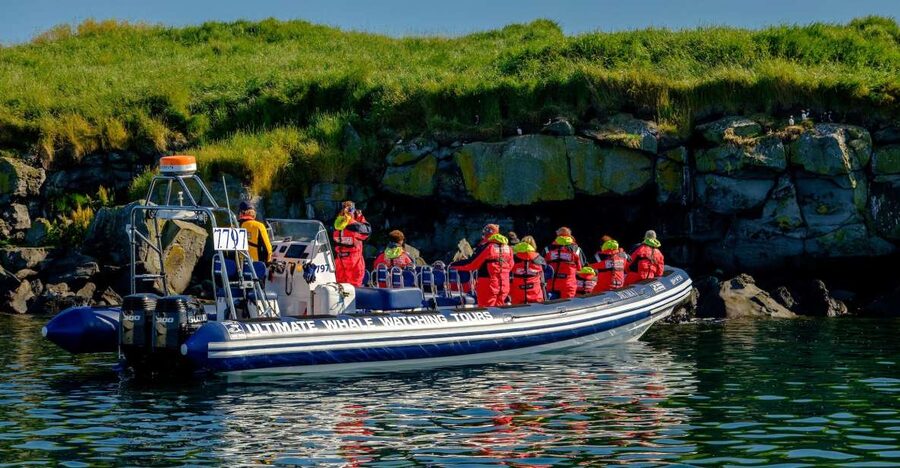 Reykjavik: Puffin Watching Tour - Puffin watching near cliffs and islands: where the birds put on a show