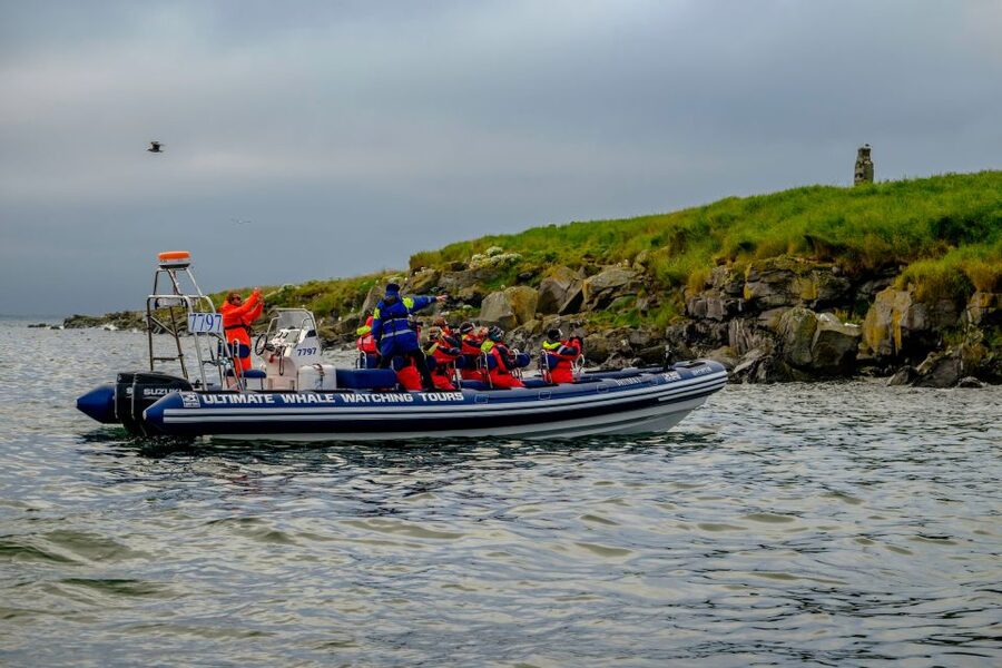 Reykjavik: Puffin Watching Tour - Warm coveralls, binoculars, and the small things that make it comfortable